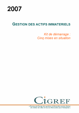 gestion des actifs immatériels